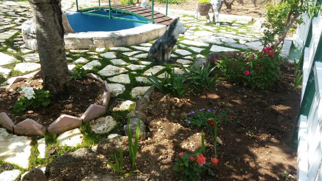 מאקרסקה Apartments Matko מראה חיצוני תמונה